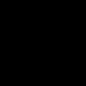 Meet your Posher, Coralie